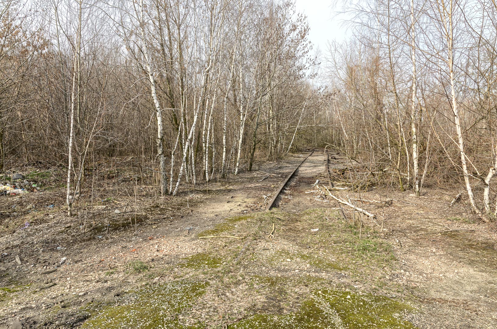 Backplate • ID: 11169 • HDRI Haven - Barren Terrain By Old Railway Track
