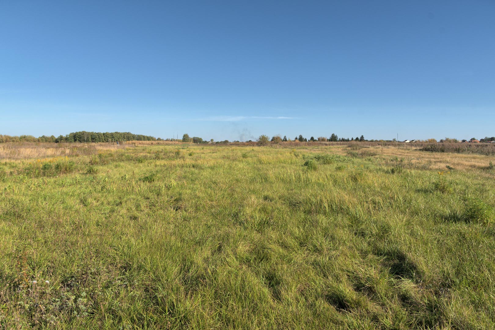 Backplate • ID: 11487 • HDRI Haven - Clear Sky Meadow