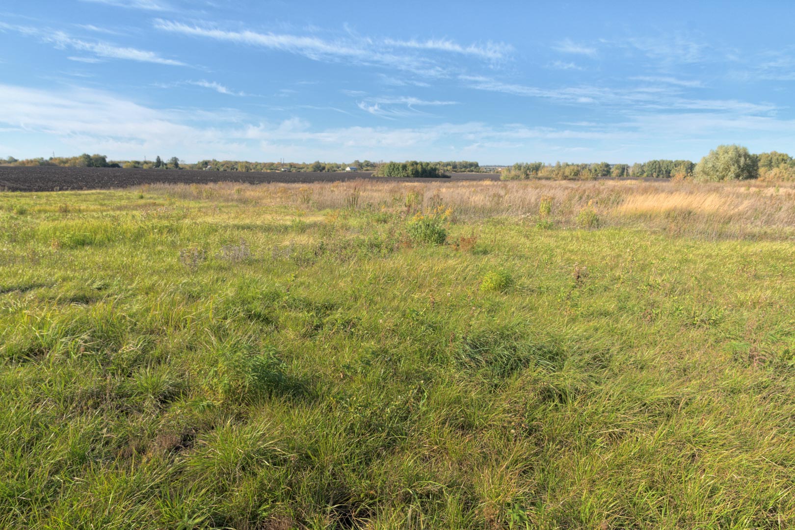 Backplate • ID: 11471 • HDRI Haven - Clear Sky Meadow 