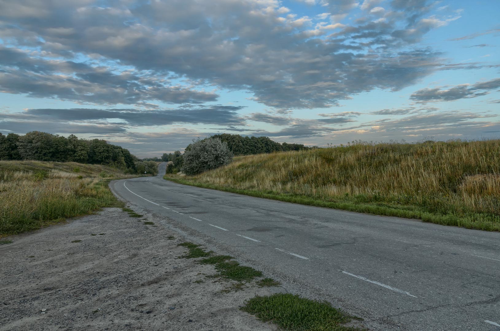 Backplate • ID: 12596 • HDRI Haven - Road Near The Field