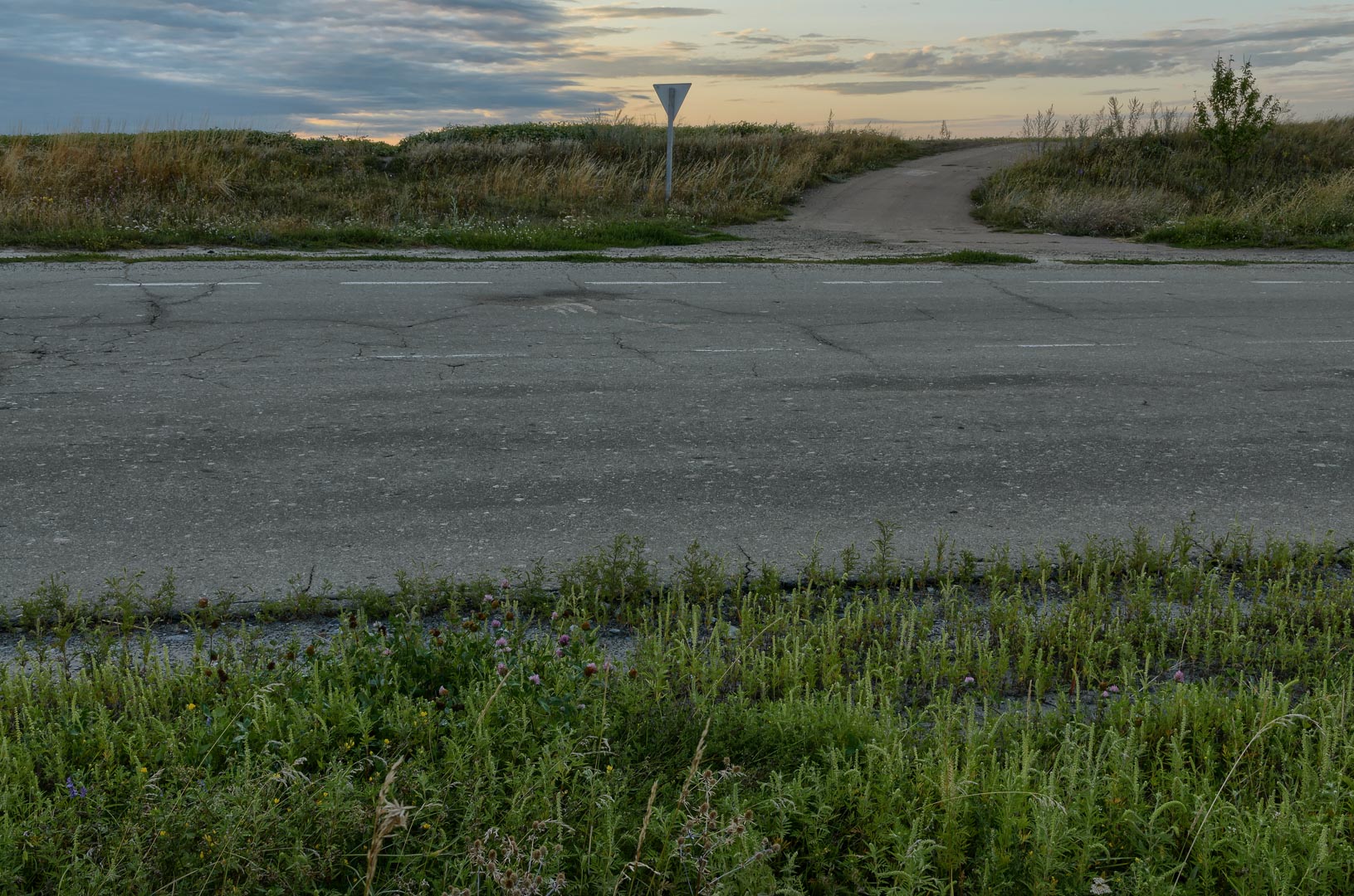 Backplate • ID: 8819 • HDRI Haven - Road Near The Field