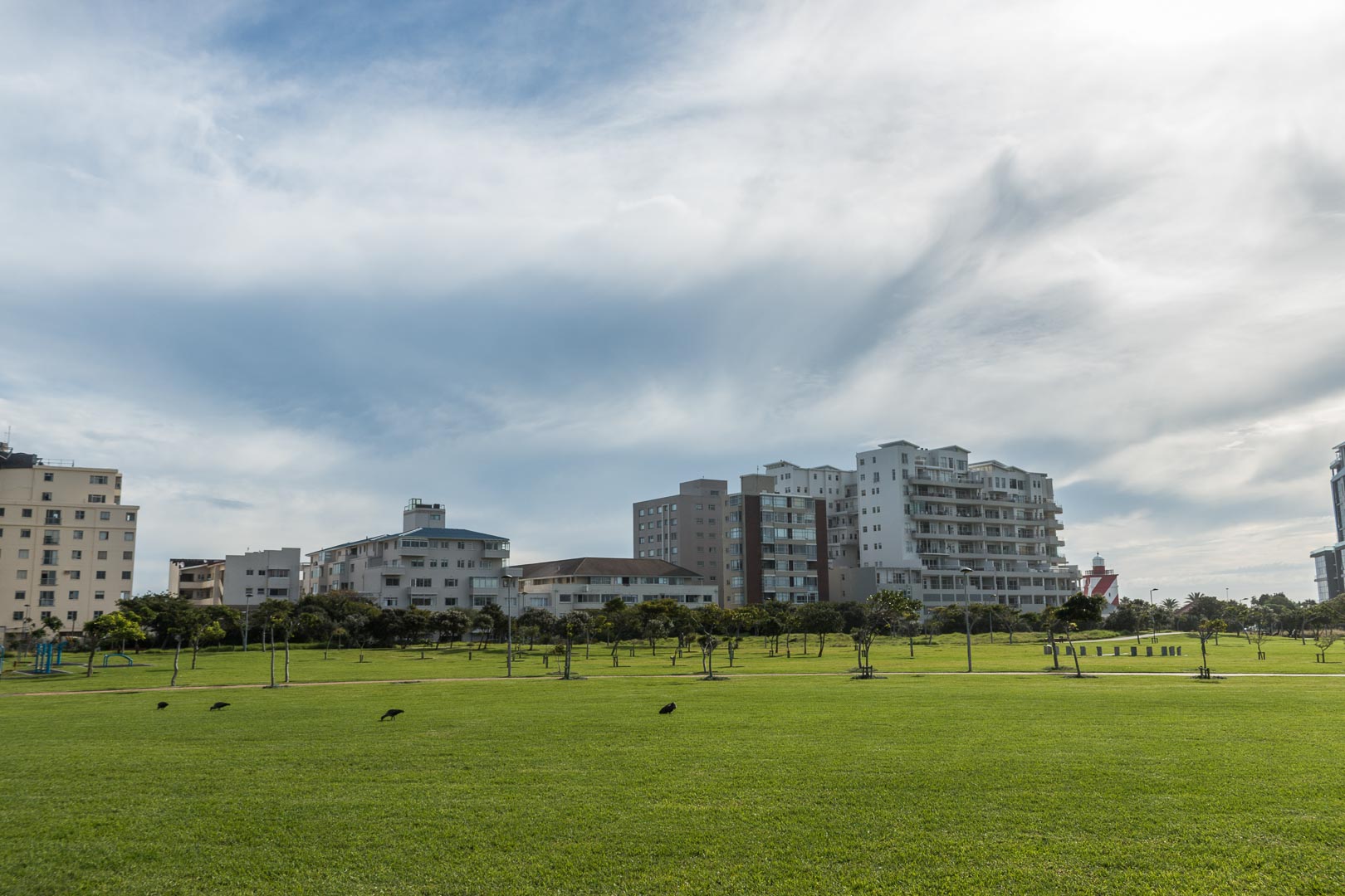 Backplate • ID: 12788 • HDRI Haven - Treeless Park