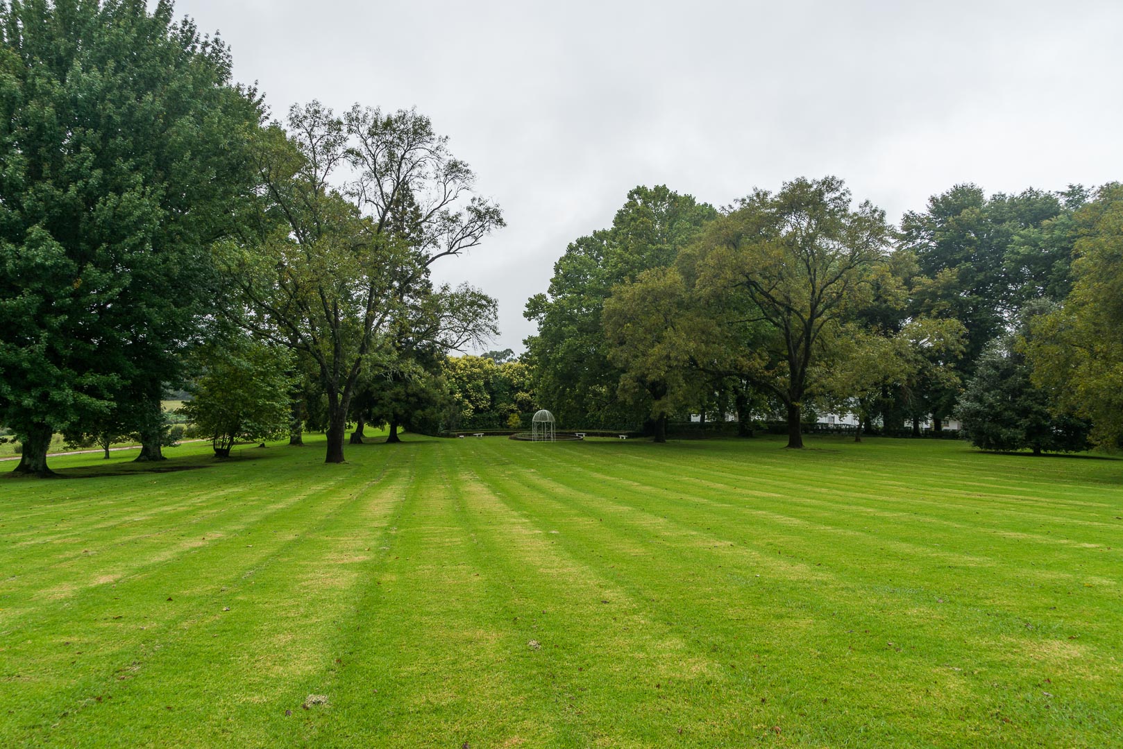 Backplate • ID: 13034 • HDRI Haven - Green Field Area