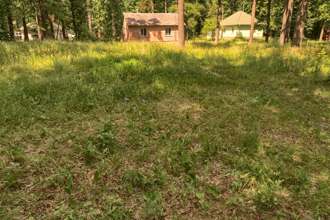 Backplate • ID: 9277 • HDRI Haven - Sunlit Meadow In Park