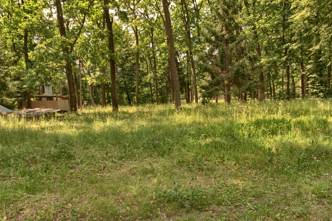 Backplate • ID: 13121 • HDRI Haven - Sunlit Meadow In Park