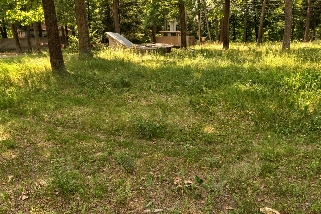 Backplate • ID: 9281 • HDRI Haven - Sunlit Meadow In Park