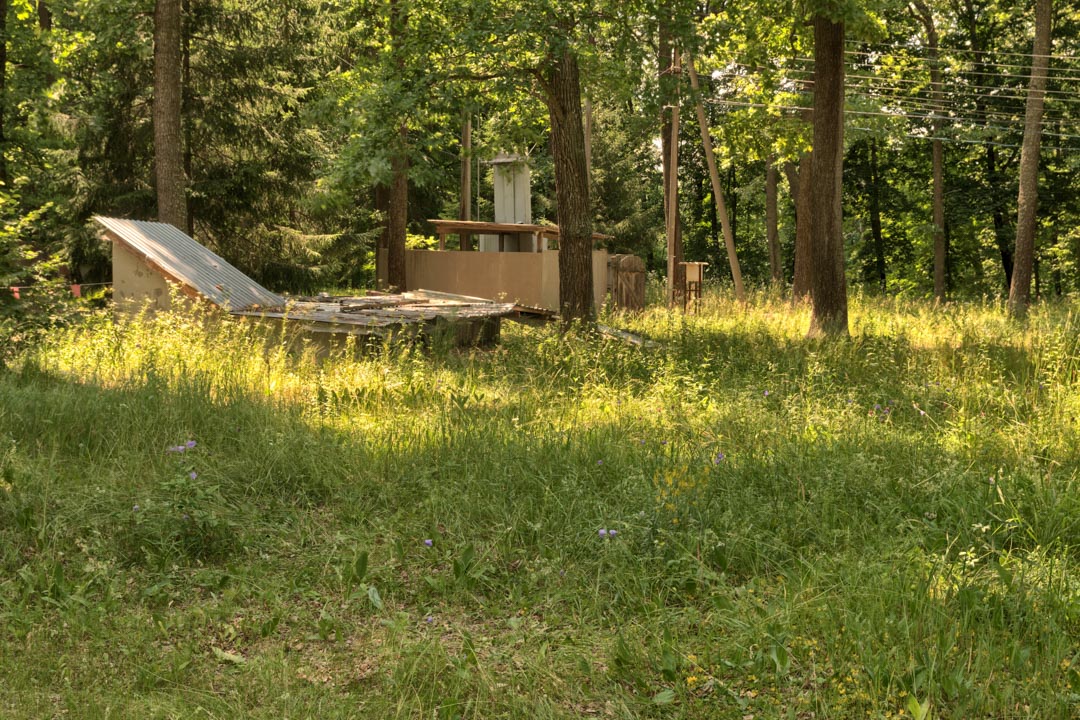 Backplate • ID: 13125 • HDRI Haven - Sunlit Meadow In Park