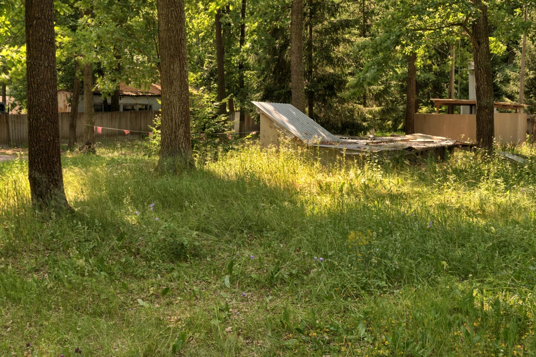 Backplate • ID: 13100 • HDRI Haven - Sunlit Meadow In Park