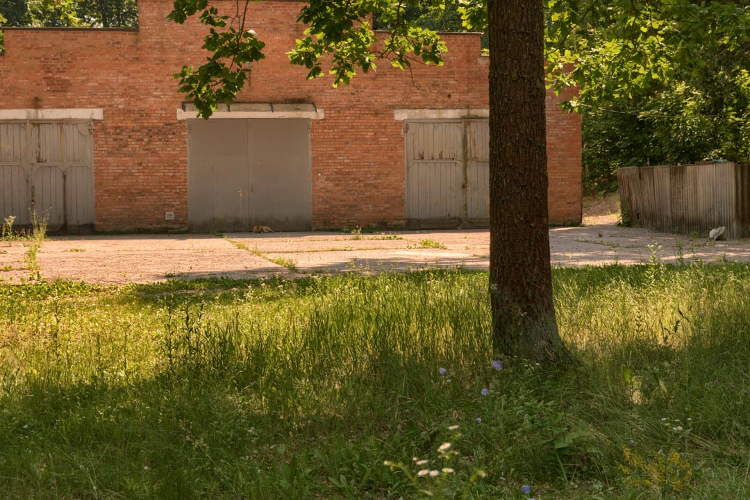 Backplate • ID: 13103 • HDRI Haven - Sunlit Meadow In Park