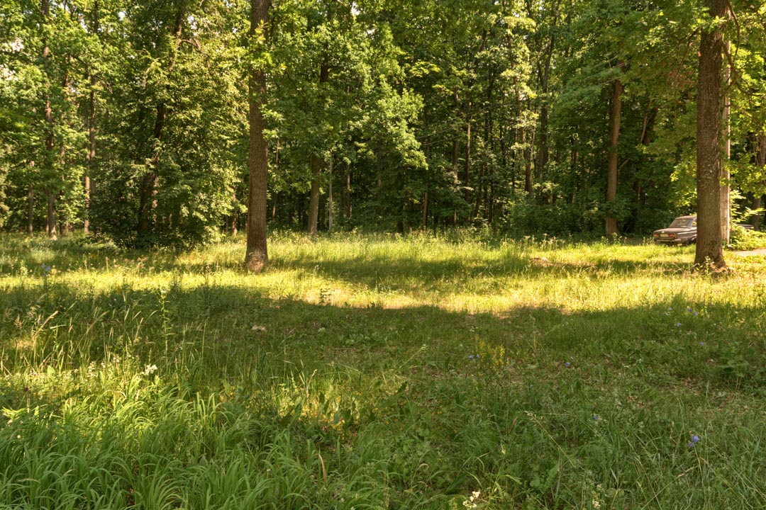 Backplate • ID: 13107 • HDRI Haven - Sunlit Meadow In Park