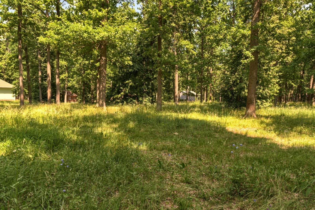 Backplate • ID: 9270 • HDRI Haven - Sunlit Meadow In Park