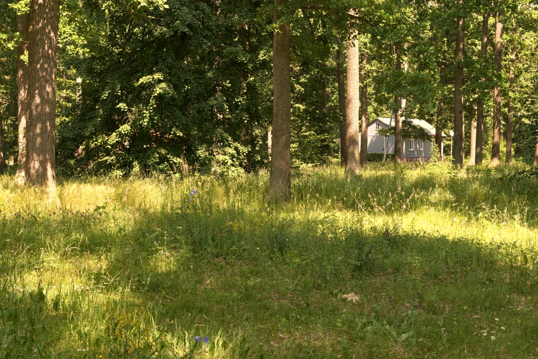 Backplate • ID: 9271 • HDRI Haven - Sunlit Meadow In Park