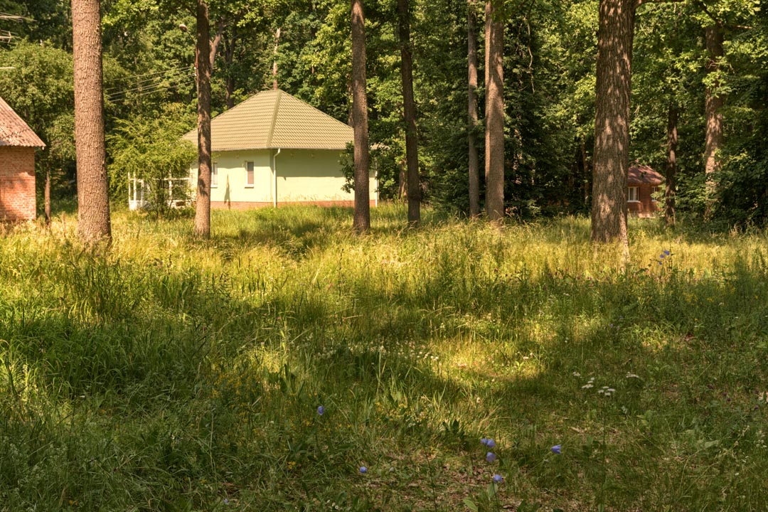 Backplate • ID: 9273 • HDRI Haven - Sunlit Meadow In Park