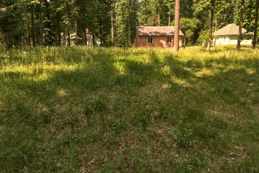 Backplate • ID: 13116 • HDRI Haven - Sunlit Meadow In Park