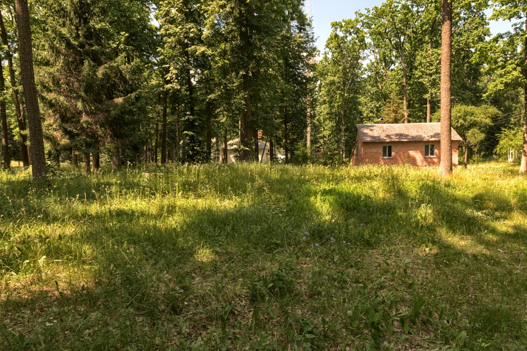 Backplate • ID: 13117 • HDRI Haven - Sunlit Meadow In Park