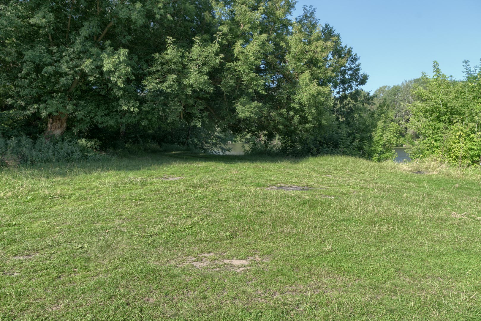 Backplate • ID: 13146 • HDRI Haven - Nature Bushes By Lake