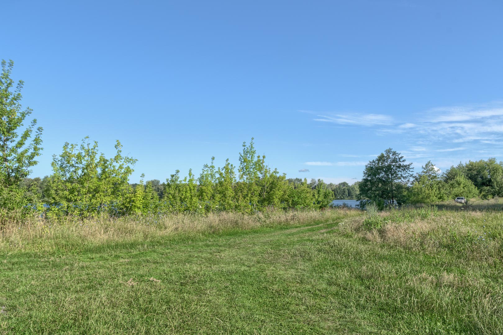 Backplate • ID: 13148 • HDRI Haven - Nature Bushes By Lake