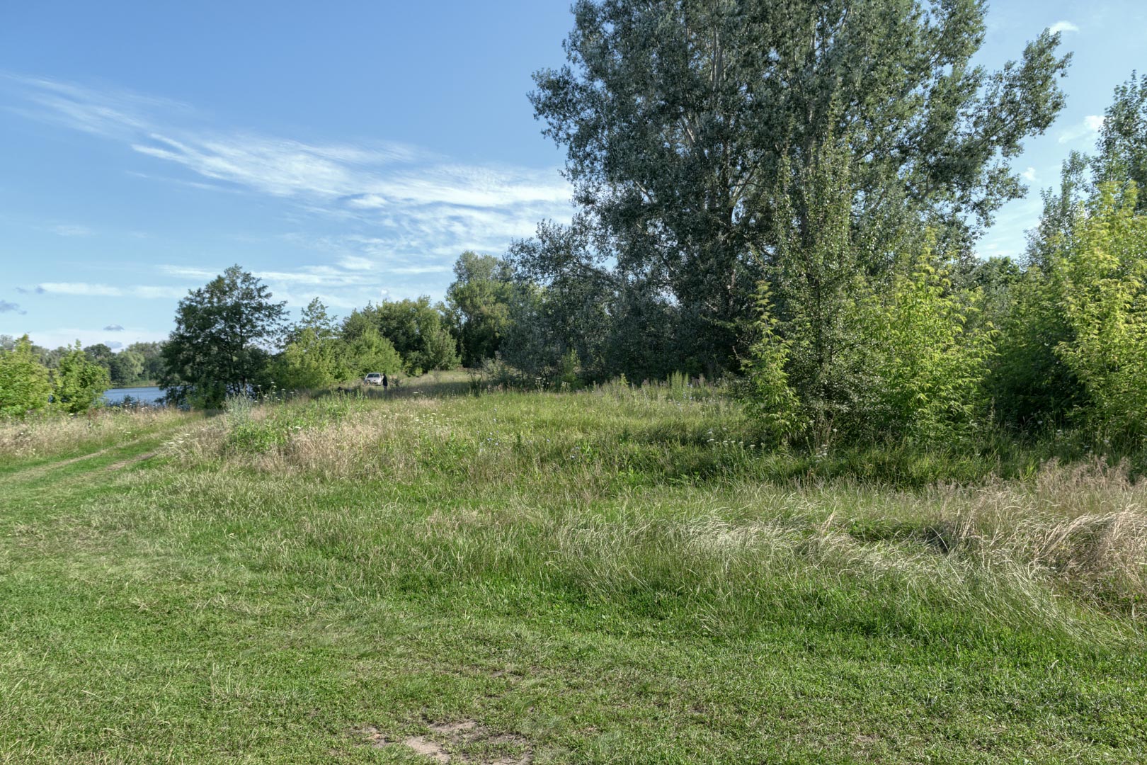 Backplate • ID: 15202 • HDRI Haven - Nature Bushes By Lake