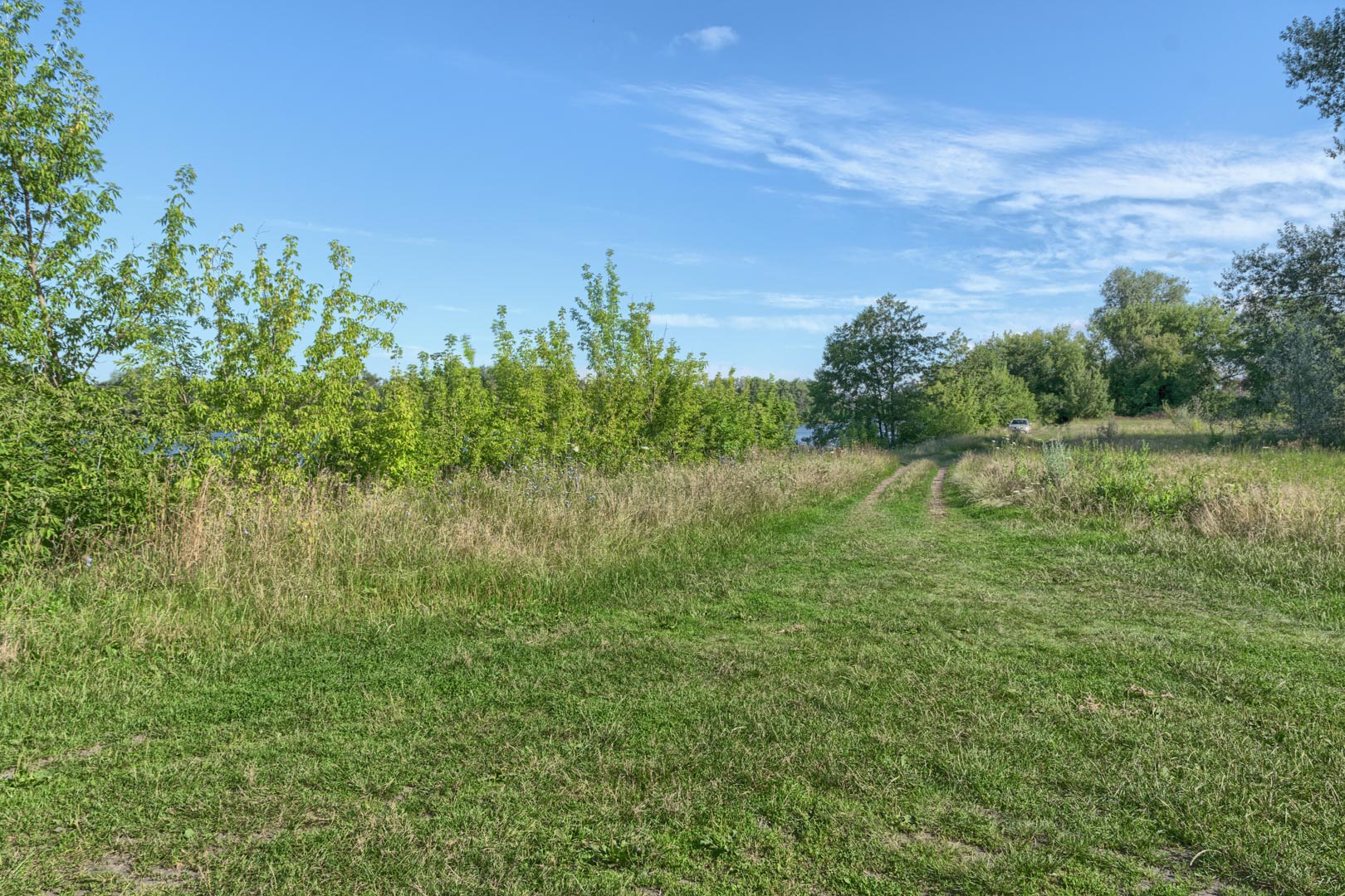 Backplate • ID: 15204 • HDRI Haven - Nature Bushes By Lake