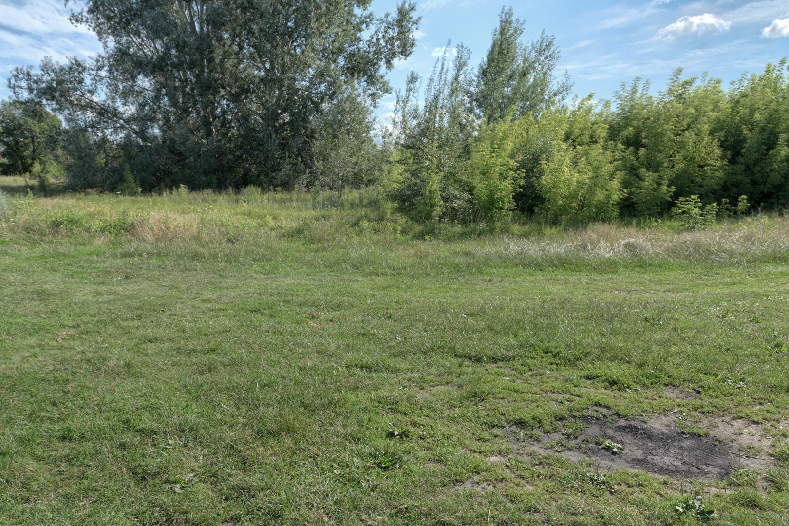 Backplate • ID: 13129 • HDRI Haven - Nature Bushes By Lake