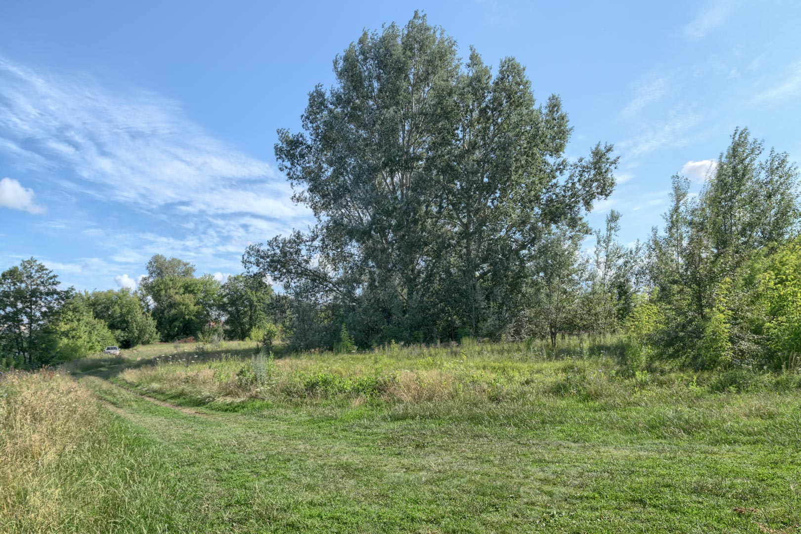 Backplate • ID: 13132 • HDRI Haven - Nature Bushes By Lake