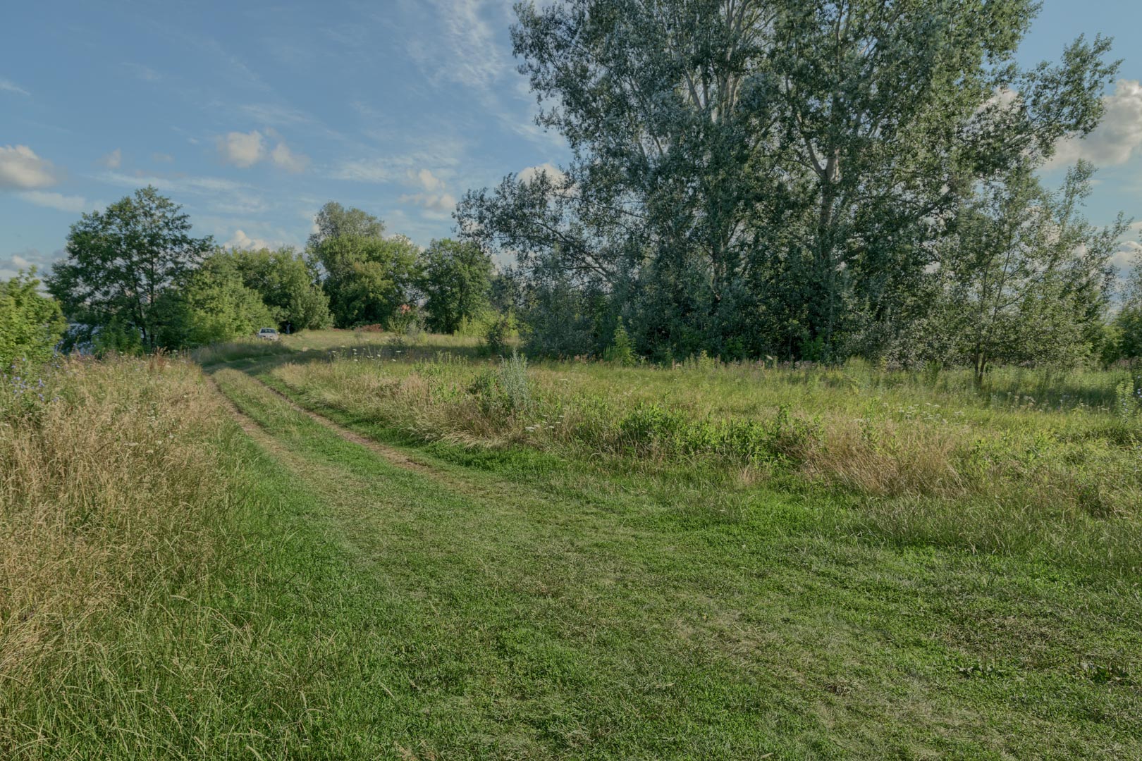 Backplate • ID: 13137 • HDRI Haven - Nature Bushes By Lake