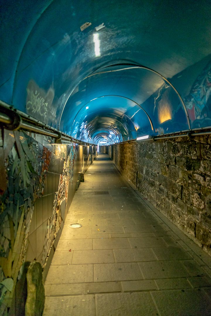 Backplate • ID: 5609 • HDRI Haven - Tunnel With Concrete Path 