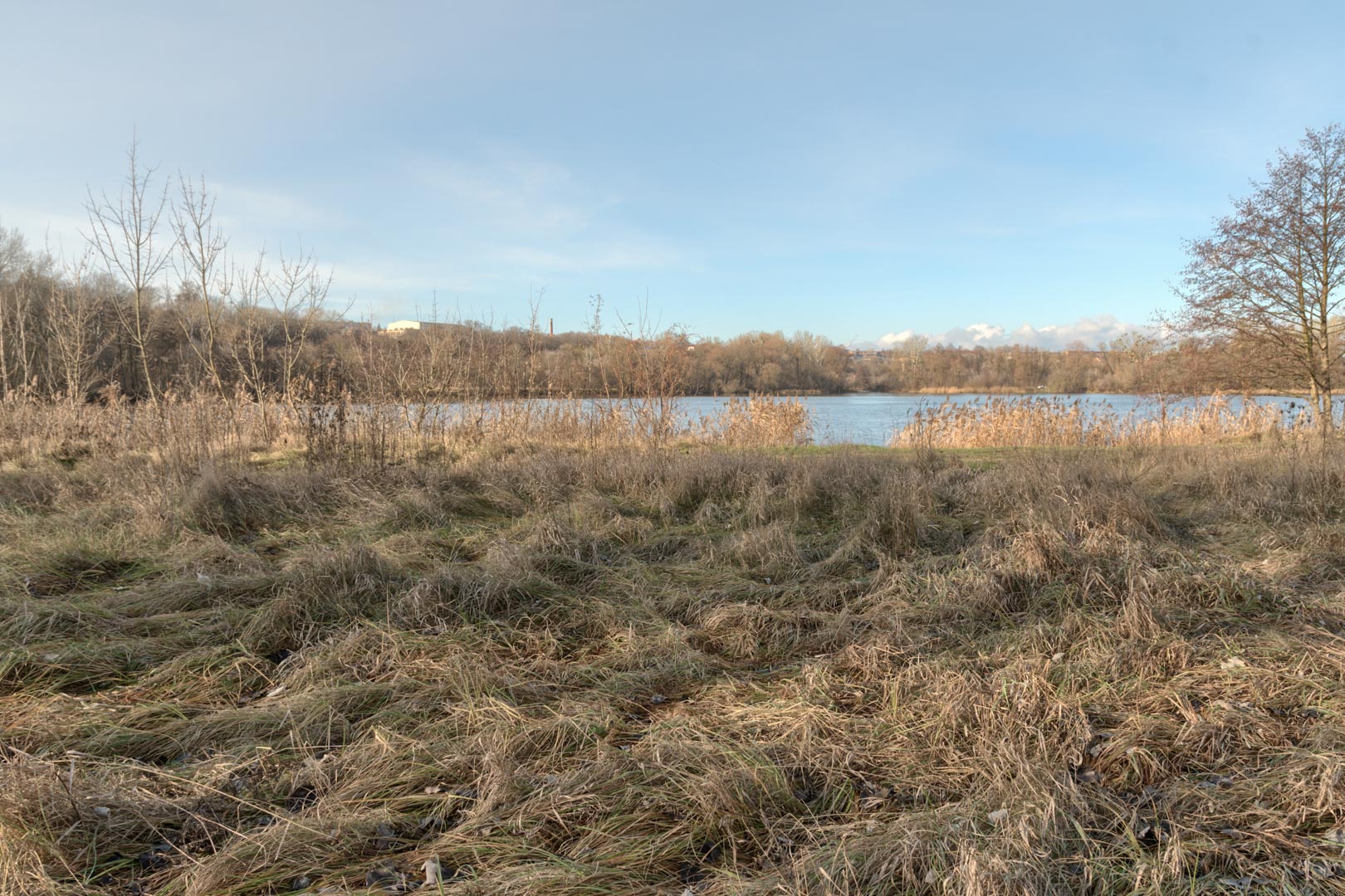 Backplate • ID: 15072 • HDRI Haven - Winter Grasses By The River