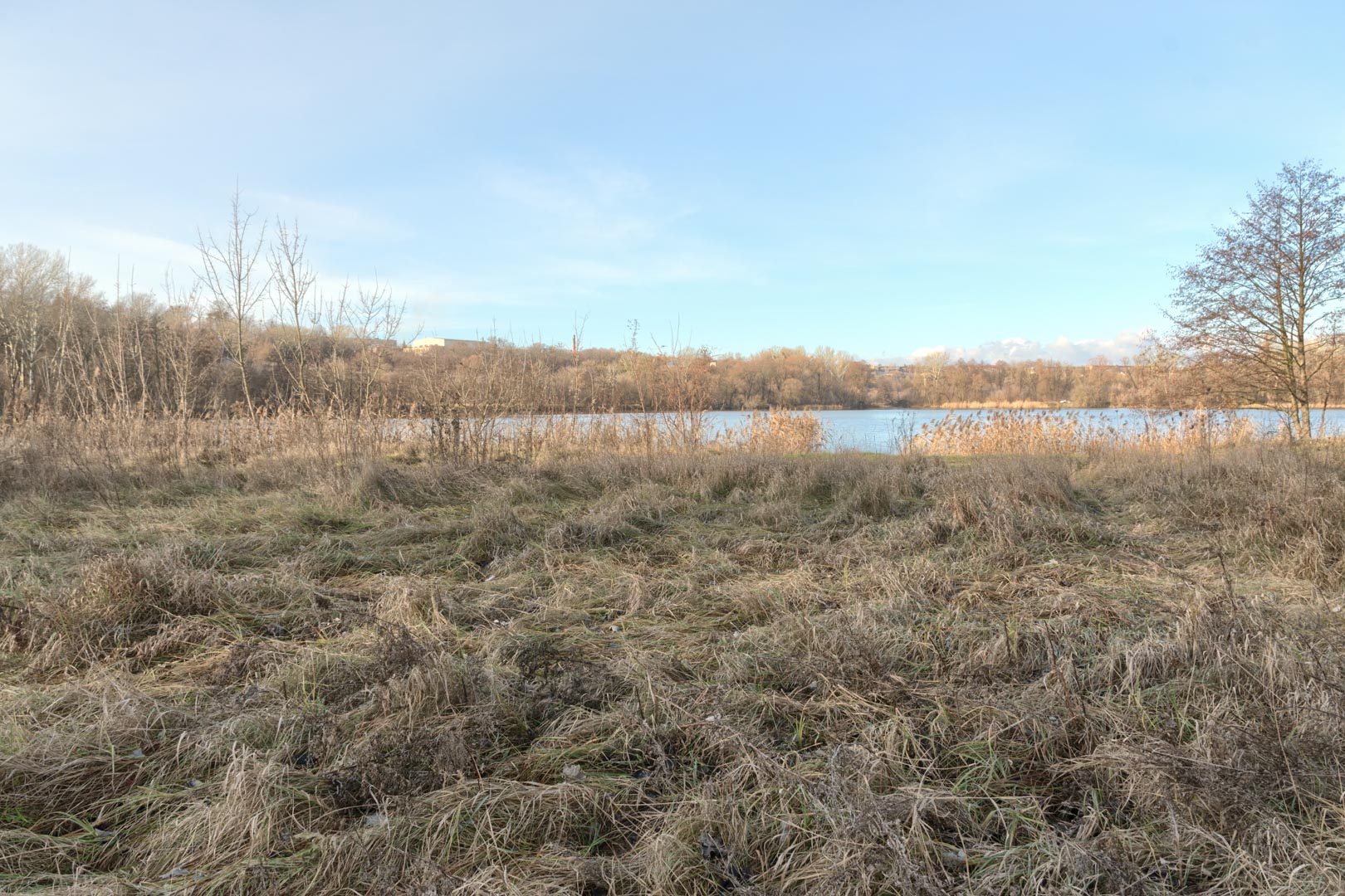 Backplate • ID: 15073 • HDRI Haven - Winter Grasses By The River