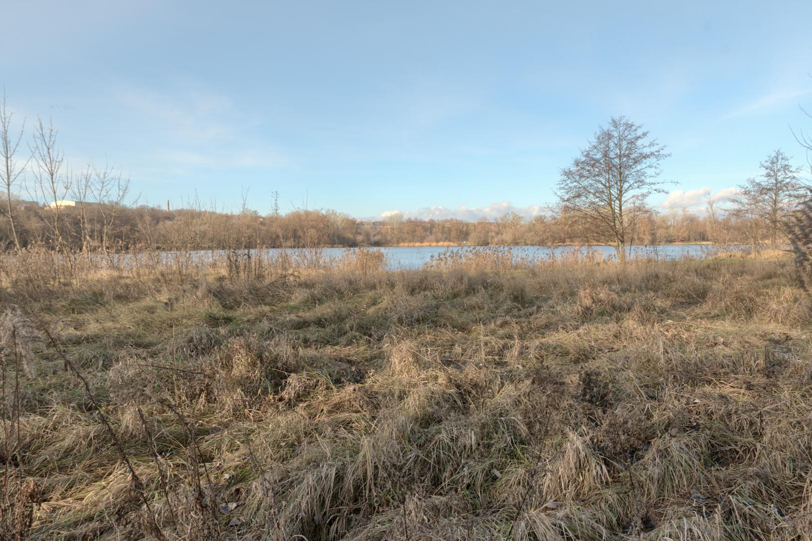 Backplate • ID: 13209 • HDRI Haven - Winter Grasses By The River