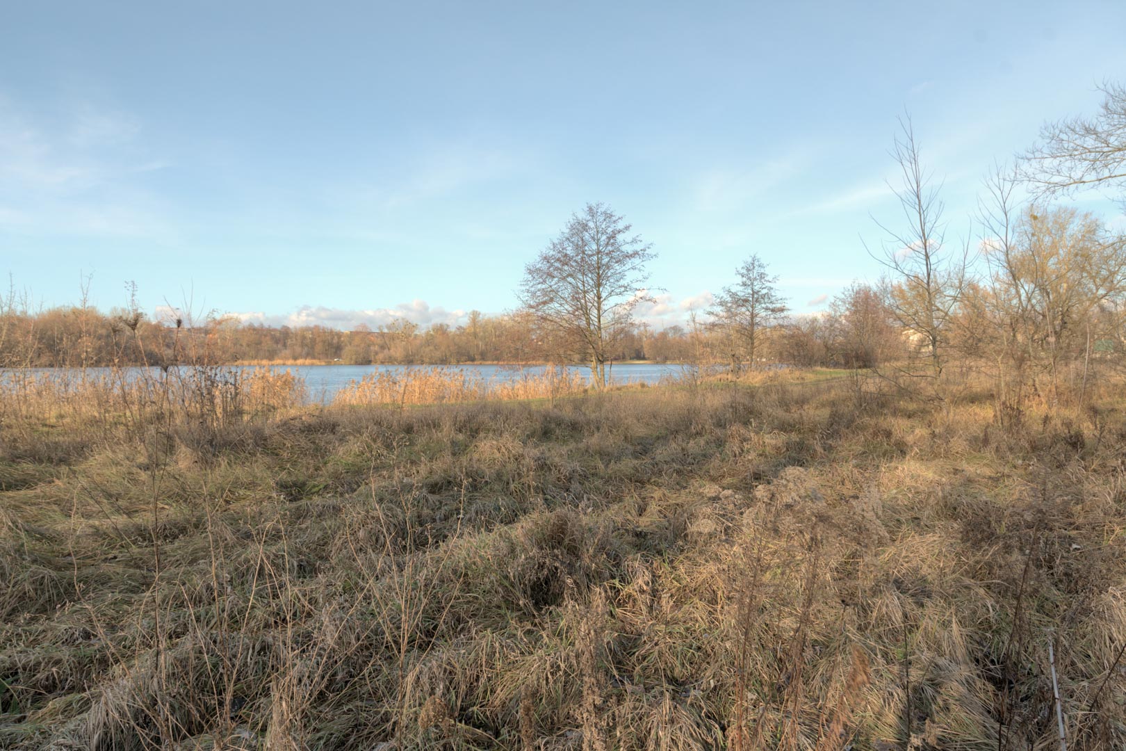 Backplate • ID: 13212 • HDRI Haven - Winter Grasses By The River