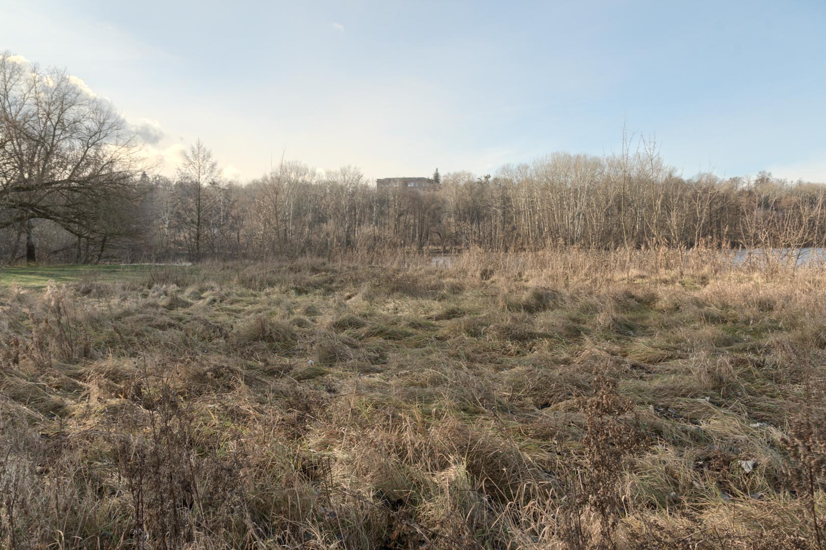 Backplate • ID: 13199 • HDRI Haven - Winter Grasses By The River