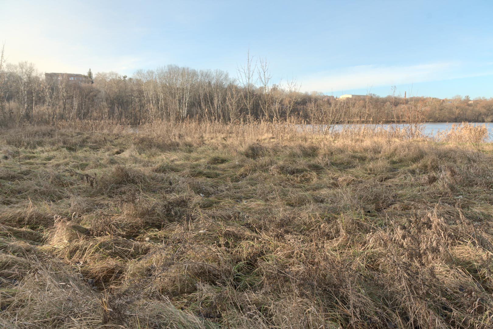 Backplate • ID: 15065 • HDRI Haven - Winter Grasses By The River