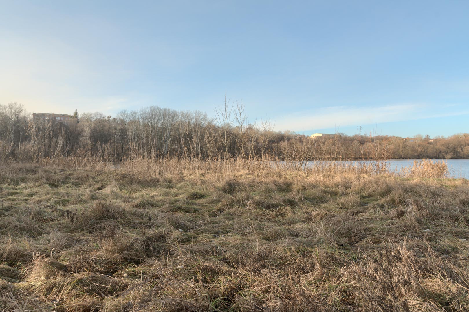 Backplate • ID: 15066 • HDRI Haven - Winter Grasses By The River