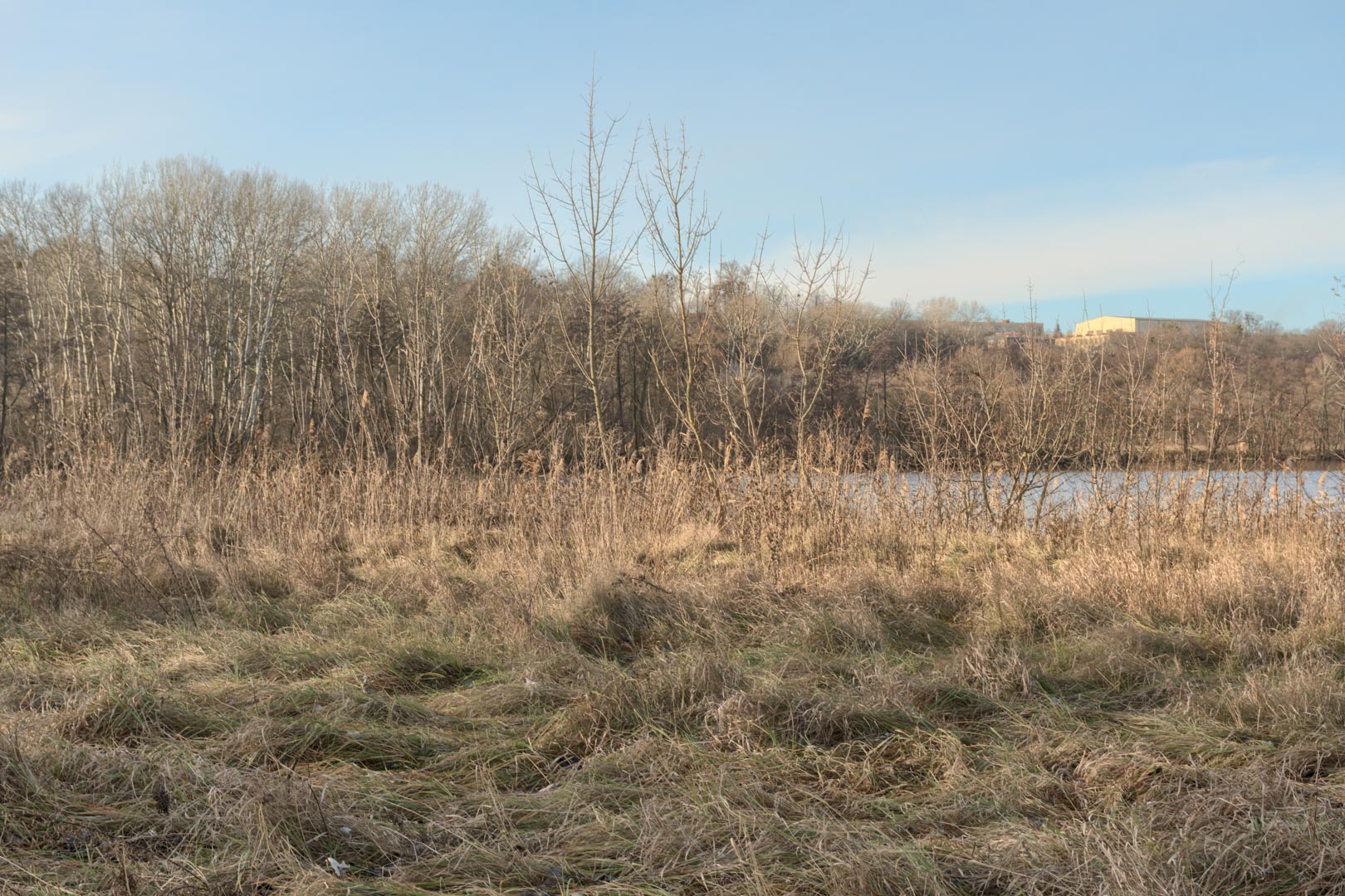 Backplate • ID: 13202 • HDRI Haven - Winter Grasses By The River