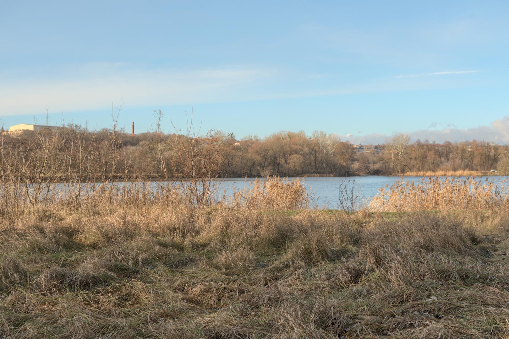 Backplate • ID: 13203 • HDRI Haven - Winter Grasses By The River