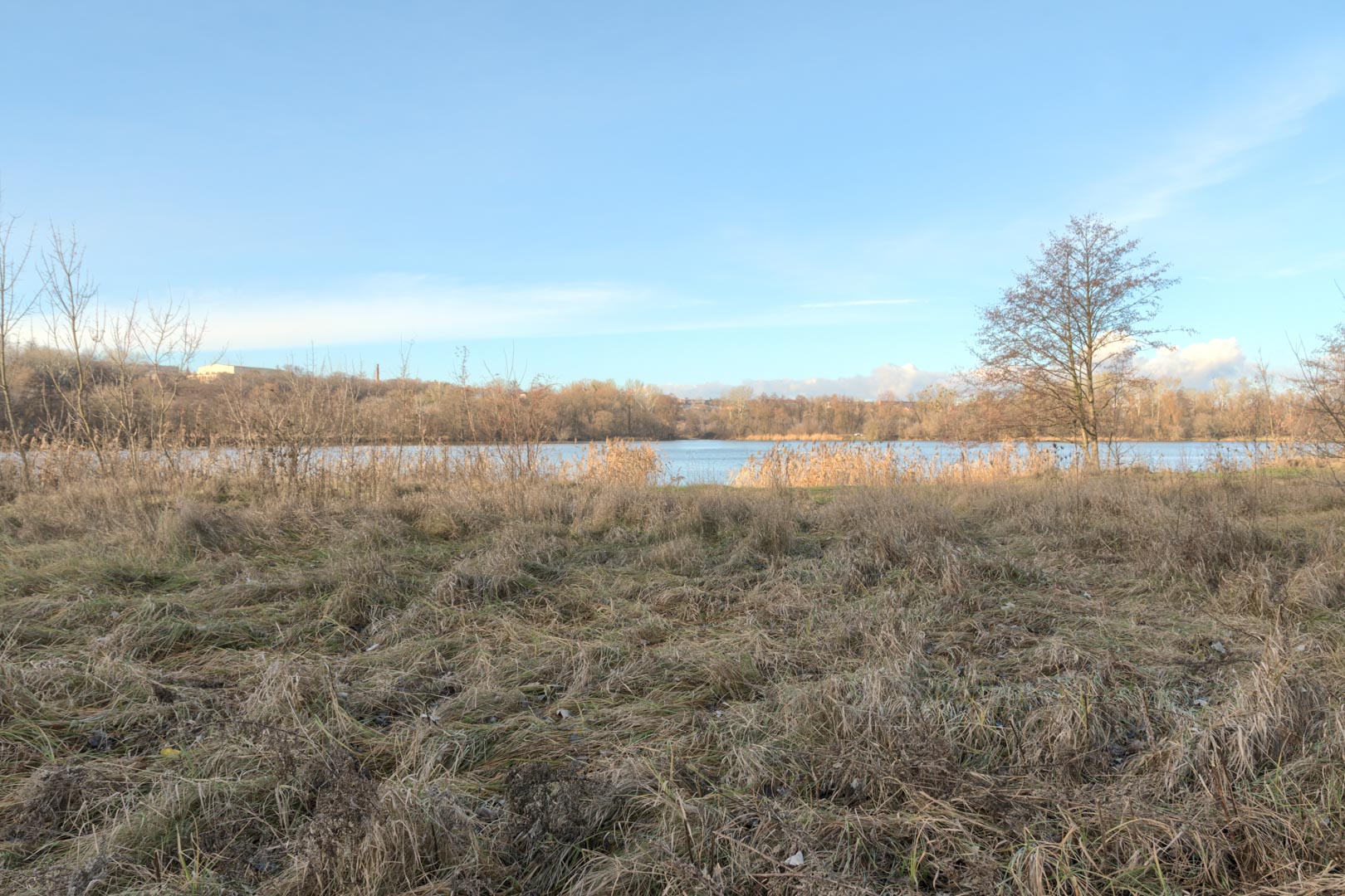 Backplate • ID: 13204 • HDRI Haven - Winter Grasses By The River