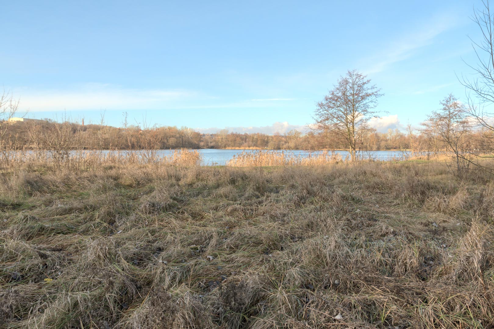 Backplate • ID: 15070 • HDRI Haven - Winter Grasses By The River