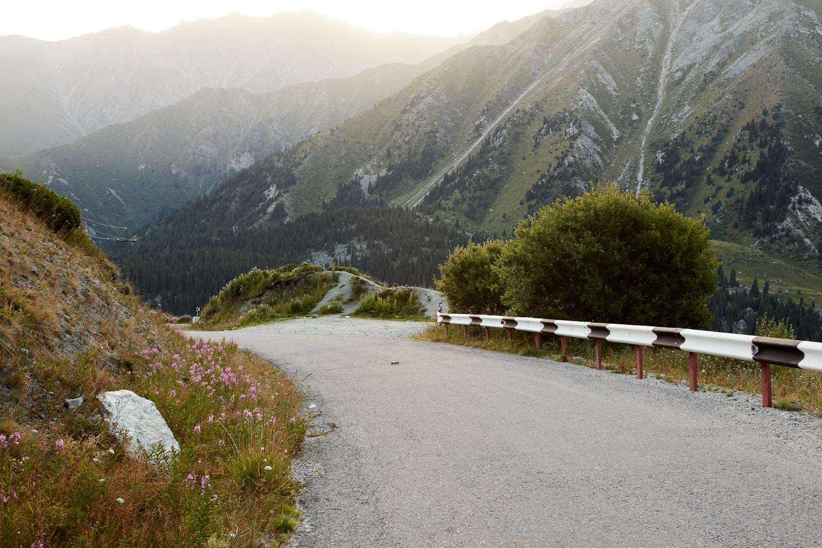 Backplate • ID: 9428 • HDRI Haven - Curvy Asphalt Road