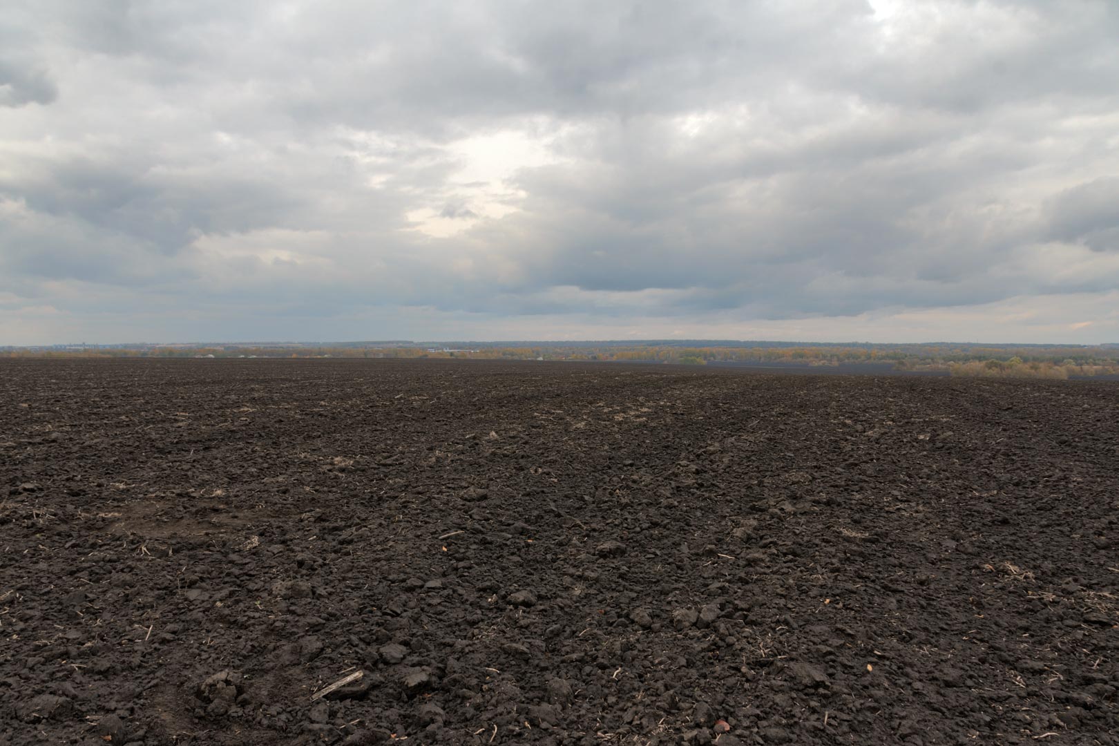 Backplate • ID: 15118 • HDRI Haven - Dug Up Dark Soil In The Field