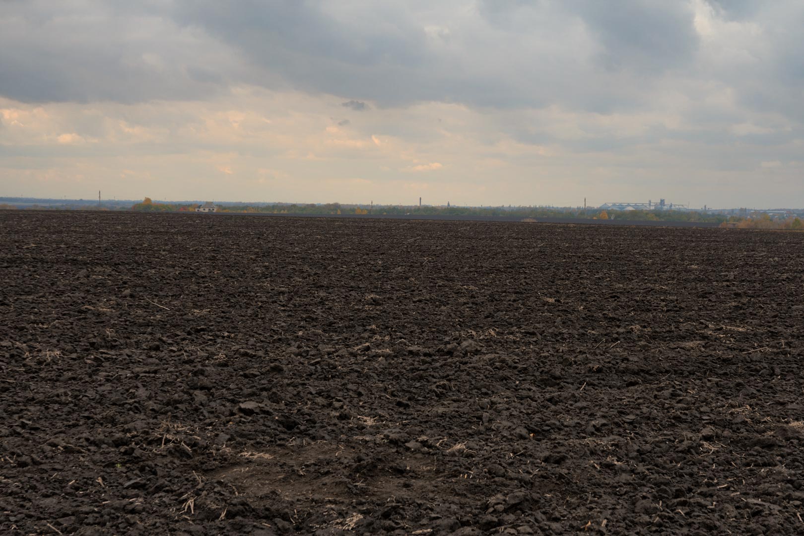 Backplate • ID: 13384 • HDRI Haven - Dug Up Dark Soil In The Field