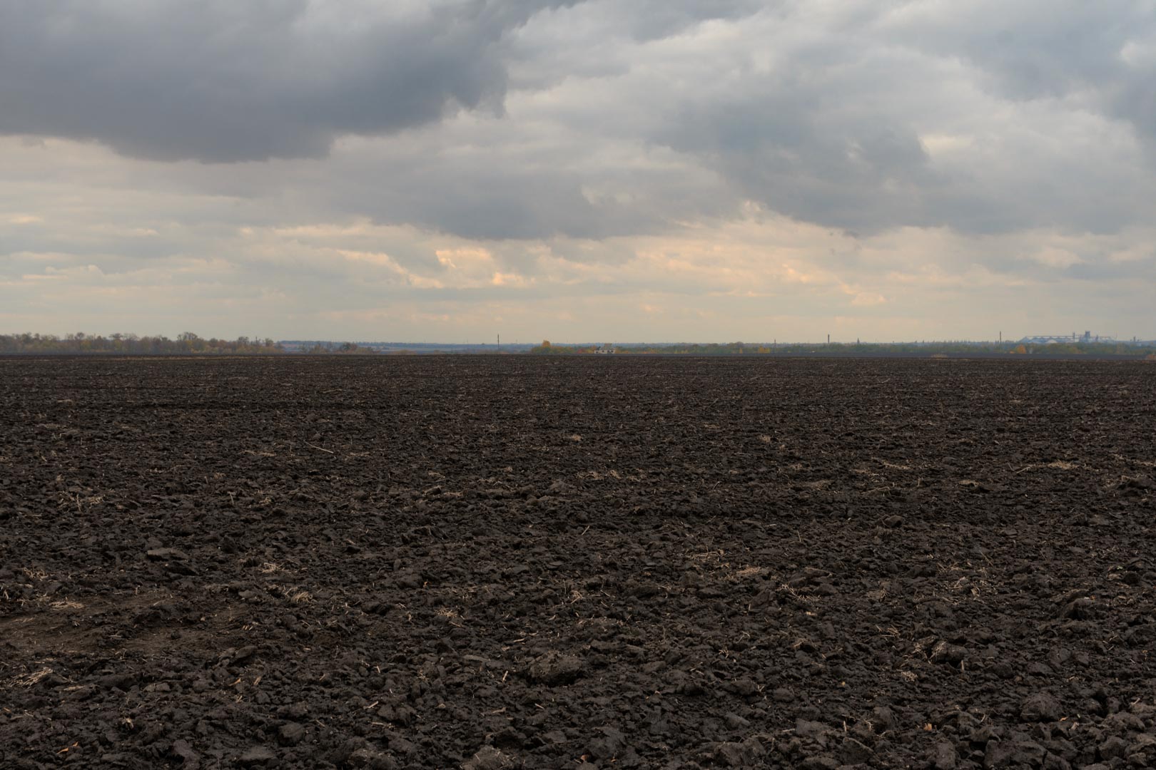 Backplate • ID: 13385 • HDRI Haven - Dug Up Dark Soil In The Field