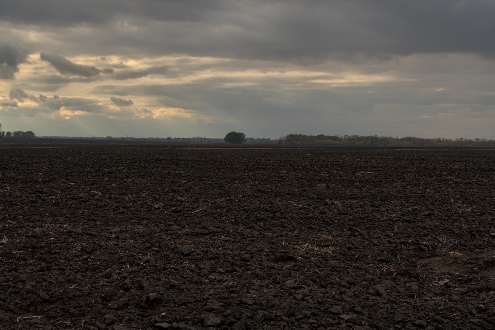 Backplate • ID: 13386 • HDRI Haven - Dug Up Dark Soil In The Field