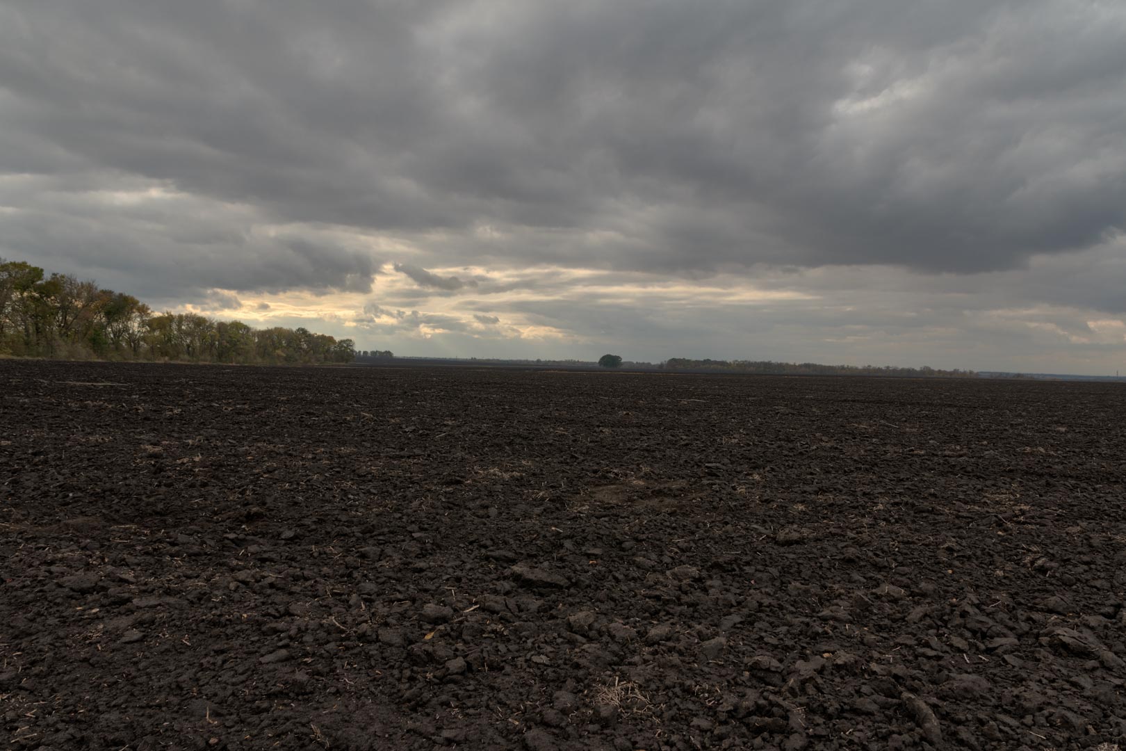 Backplate • ID: 15122 • HDRI Haven - Dug Up Dark Soil In The Field