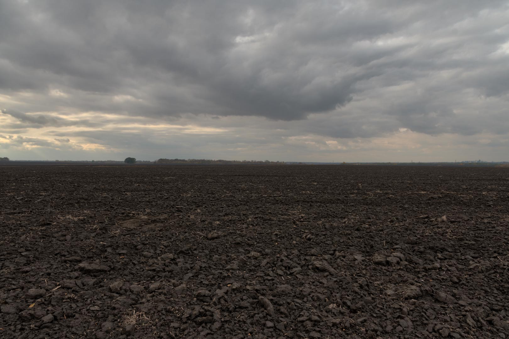 Backplate • ID: 15124 • HDRI Haven - Dug Up Dark Soil In The Field