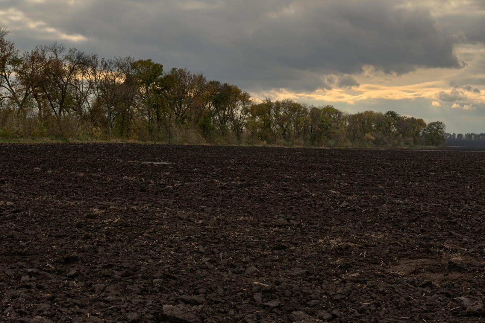 Backplate • ID: 15125 • HDRI Haven - Dug Up Dark Soil In The Field