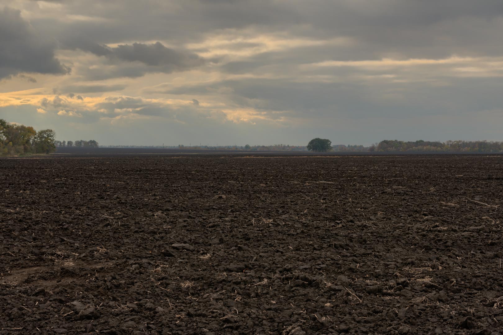 Backplate • ID: 15098 • HDRI Haven - Dug Up Dark Soil In The Field