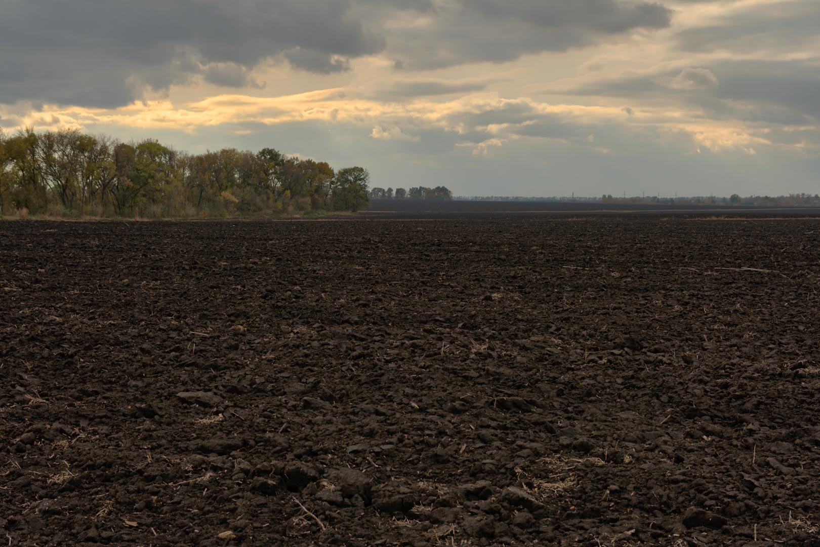 Backplate • ID: 15100 • HDRI Haven - Dug Up Dark Soil In The Field