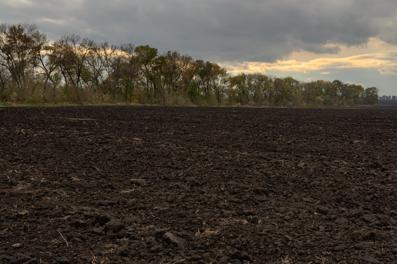 Backplate • ID: 13366 • HDRI Haven - Dug Up Dark Soil In The Field