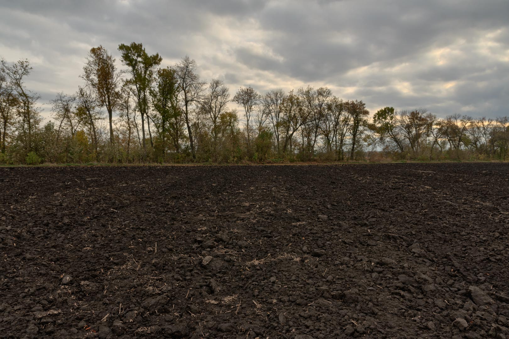 Backplate • ID: 13367 • HDRI Haven - Dug Up Dark Soil In The Field